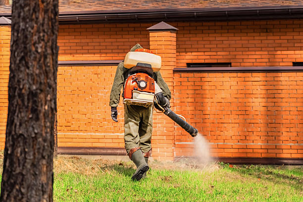 Trusted Cockroach Control service in Cedar Glen West, NJ - Nex Pest Control